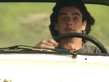 Compañeros Compañeros