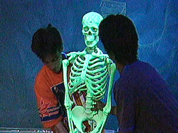 robo saturnino robo saturnino