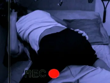 Compañeros Compañeros