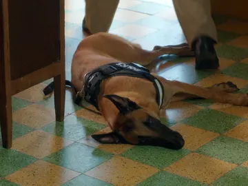 Nueva agente en Santa Helena Nueva agente en Santa Helena