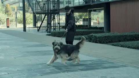 Chico, el perro capaz de percibir a los geonestésicos Chico, el perro capaz de percibir a los geonestésicos