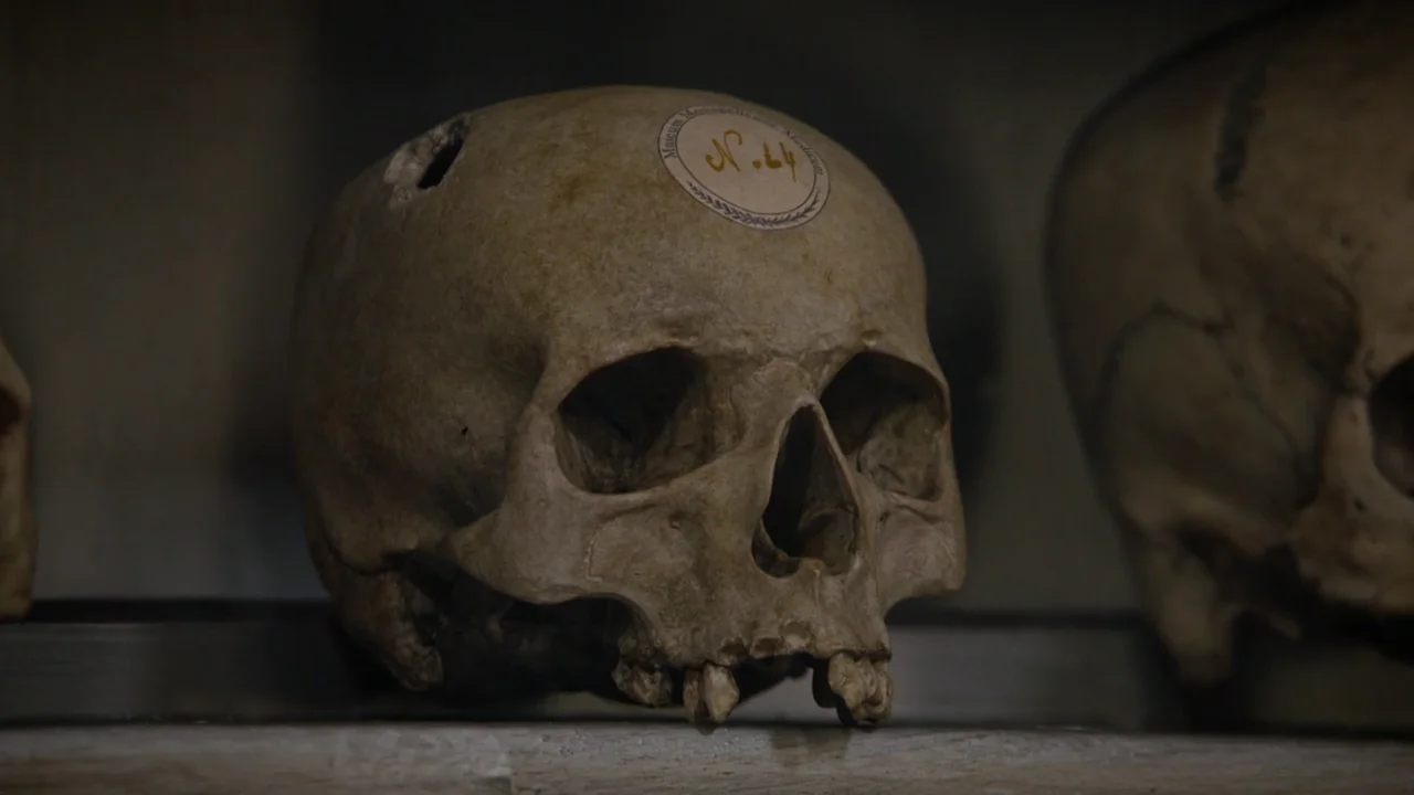 El cr&aacute;neo de Nostradamus relacionado con el crimen de Julius