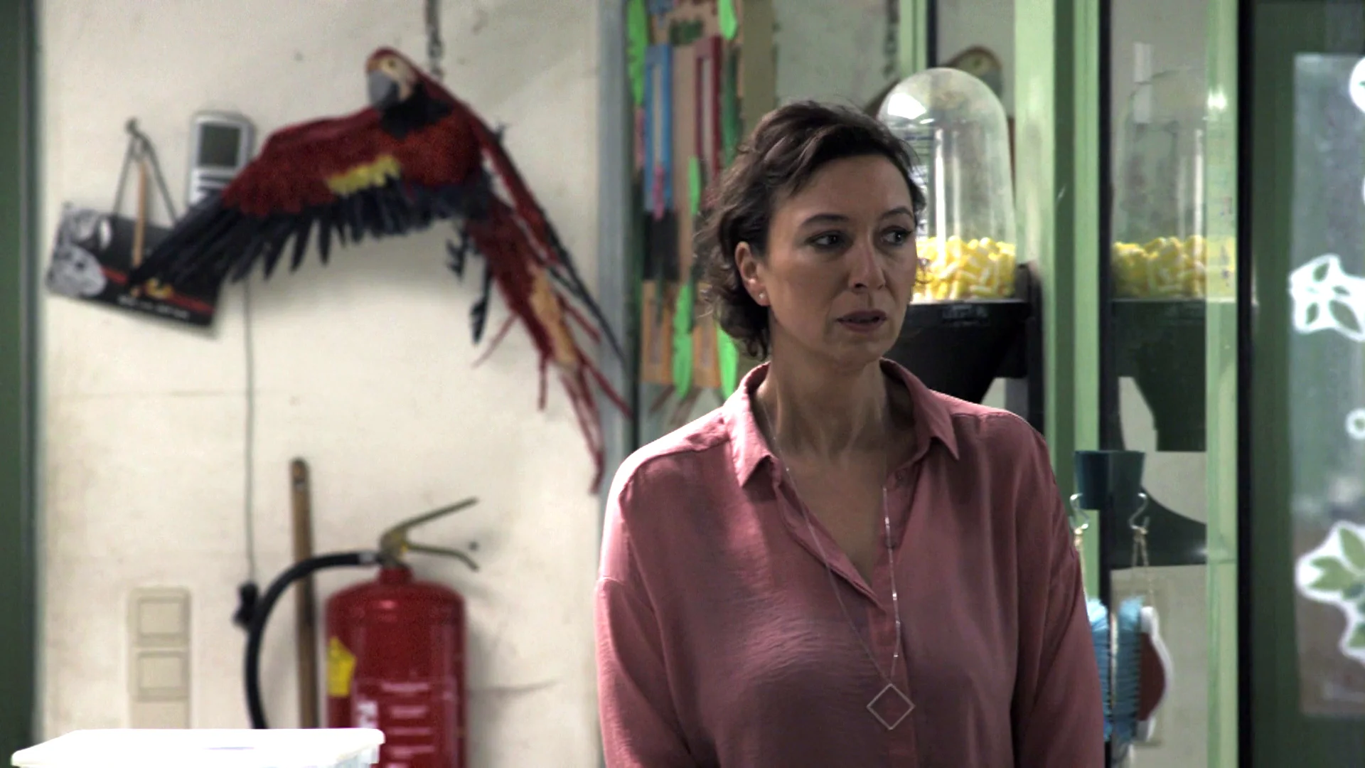 Angelika teme a los p&aacute;jaros