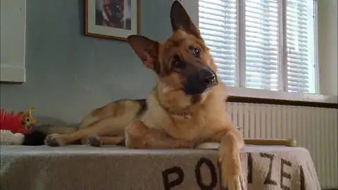 Atreseries Atreseries