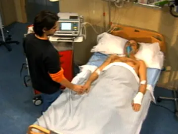 Compañeros Compañeros