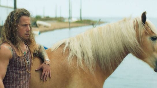 Panda - Panda se queda con el caballo de una mujer que detuvo