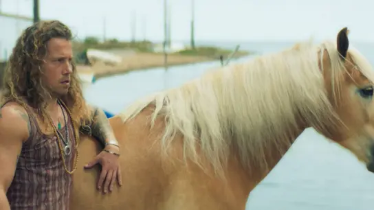 Panda - Panda se queda con el caballo de una mujer que detuvo Panda - Panda se queda con el caballo de una mujer que detuvo